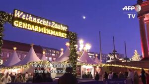 Berlin-Christmas-tree-rental-service-aims-to-cut-waste