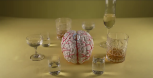 Brain