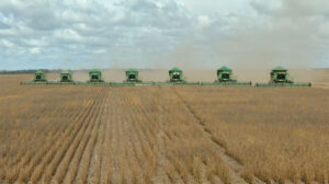 Brazils-Cerrado-savanna-sacrificed-in-the-name-of-industrial-soya-maize-farming