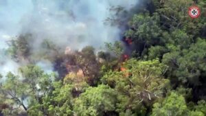 Bushfire-burns-through-Australias-holiday-destination-Fraser-Island