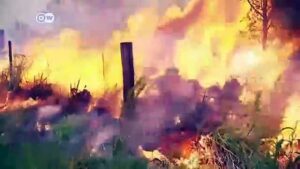 Bushfires-blanket-Sydney-in-smoke-ahead-of-heat-surge