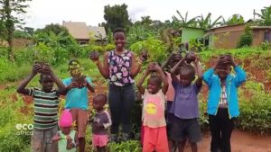 COVID-19-Lack-of-regional-coordination-could-lead-to-more-deaths-in-Africa