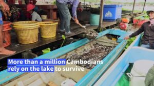 Cambodias-giant-life-giving-Tonle-Sap-lake-in-peril