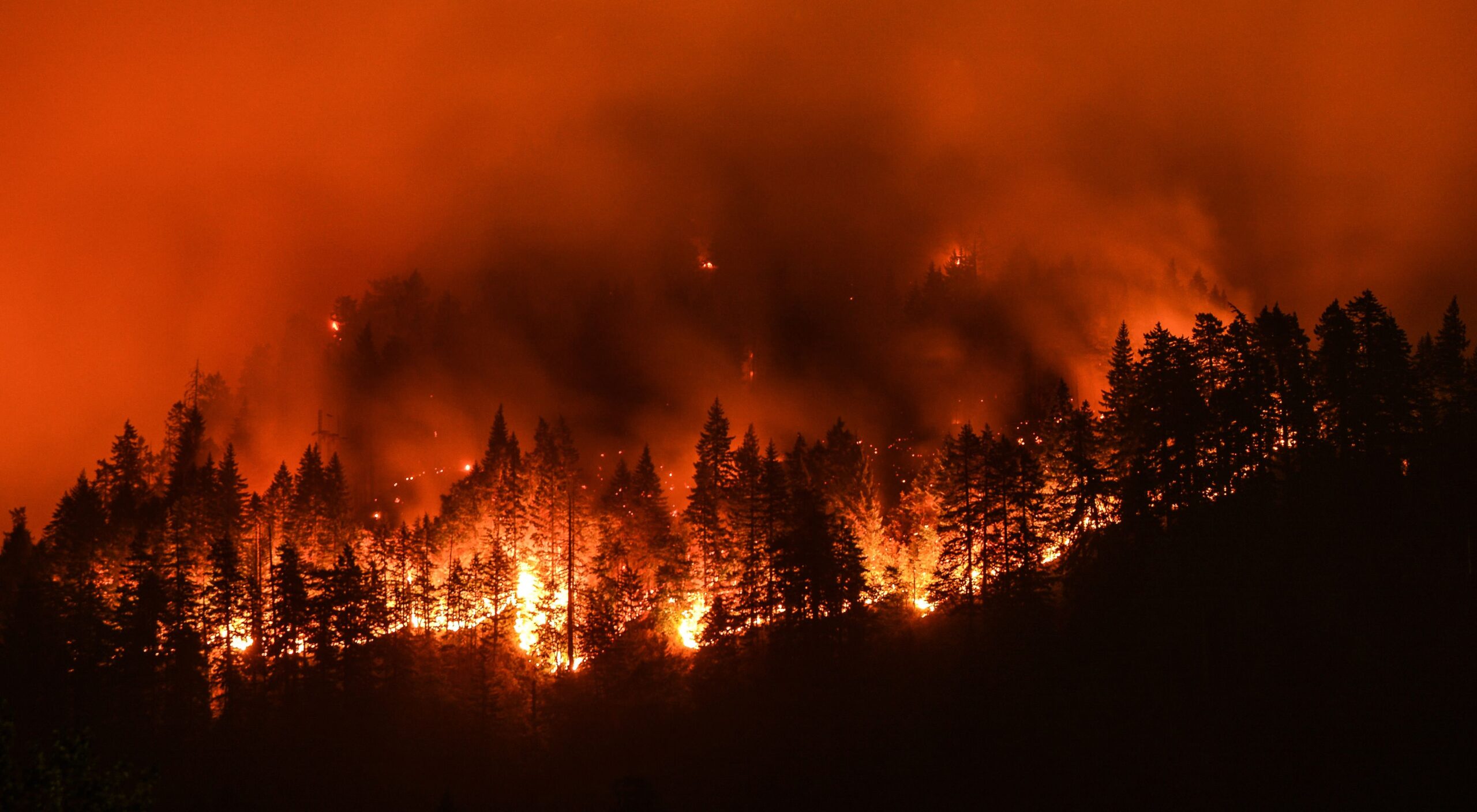 Canadians learn to live with megafires