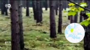 Capture-6