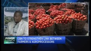 Central-Bank-of-Nigeria-to-improve-drive-for-non-oil-exports