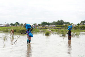 Women carry sacks on their heads as they walk through water, after heavy rains and floods forced hundreds of thousands of people to leave their homes, in the town of Pibor, Boma state