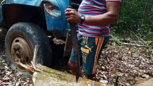 Deadly-tug-of-war-over-Brazils-Amazon-land