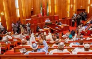 Declare-national-security-emergency-Senate-tells-Buhari