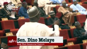 Dino-Melaye-blows-hot-over-Nigerias-educational-sector