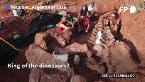 Dinosaur-found-in-Argentina-may-be-largest-yet