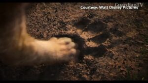 Disney-goes-high-tech-to-draw-fans-to-a-new-Lion-King