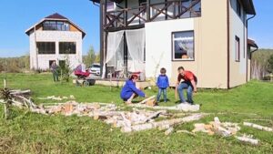 Domesticated-foxes-in-Siberia-offer-scientific-insights