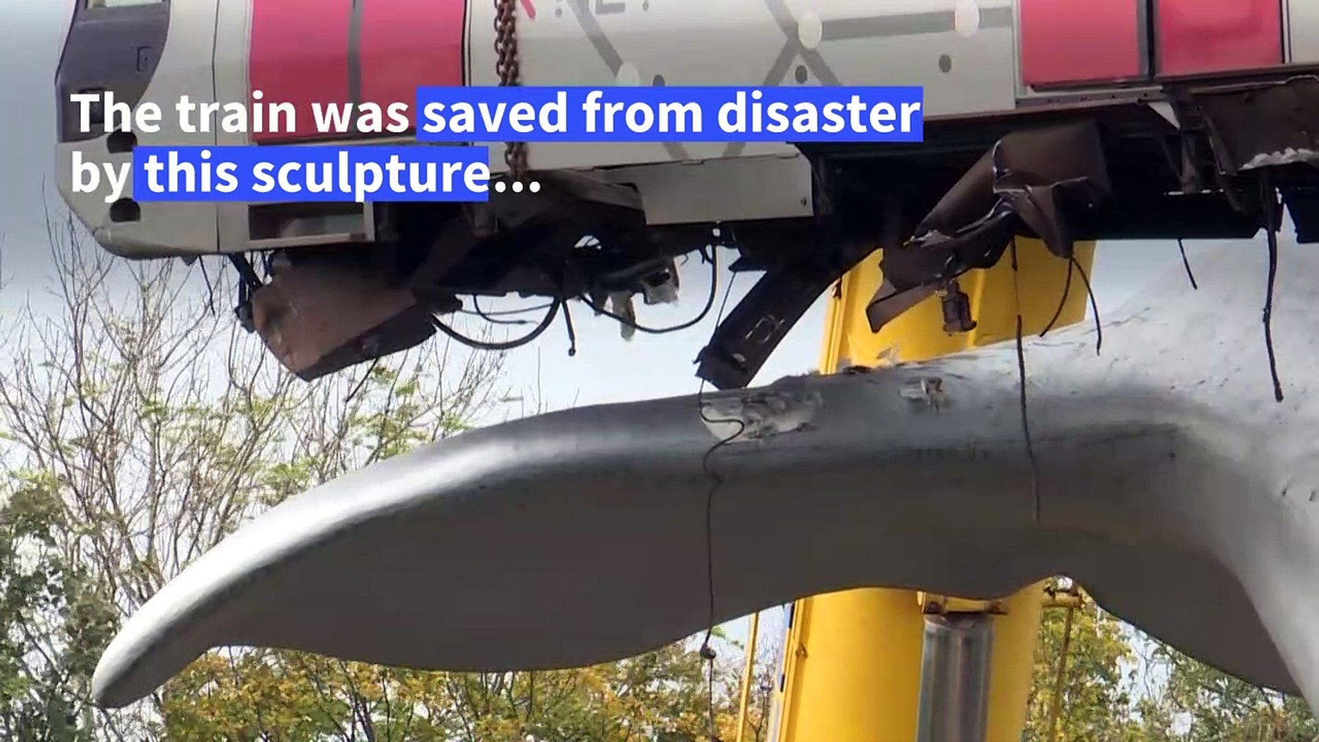 Dutch-authorities-try-to-remove-whale-tail-metro