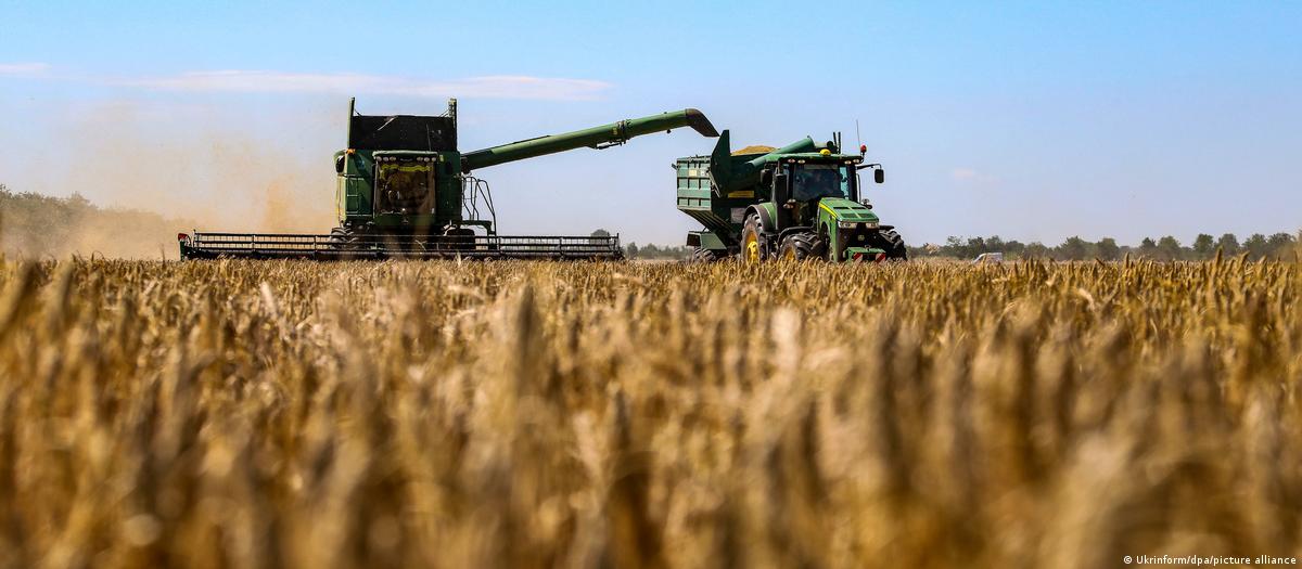 EU-eyes-tariffs-to-choke-off-Russian-grain-sales