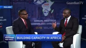 Emmanuel-Nnadozie-Africa-needs-to-strengthen-its-public-institutions