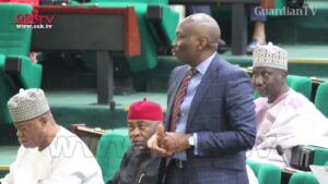 Engage-Shiites-end-unrest-Reps-tell-Nigerian-govt