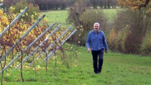 English-winemaker-makes-a-local-version-of-Beaujolais-nouveau