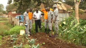Equipped-with-new-skills-from-jail-Kenyan-ex-convicts-turn-to-agriculture