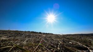 Europes-hot-summer-weather-could-worsen-the-effects-of-COVID-19