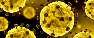 Everything-you-need-to-know-about-the-new-coronavirus