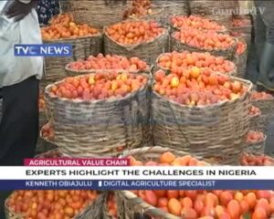 Experts-highlight-challenges-facing-Agricultural-Value-Chain