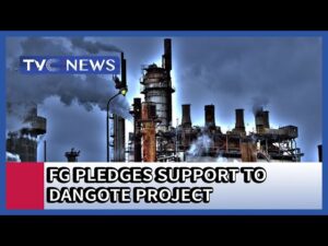 FG-pledges-support-to-facilitate-completion-of-Dangote-Refinery-and-Petrochemicals