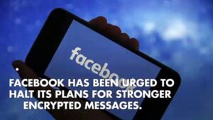 Facebook-urged-halt-encryption-plans-over-safety-concerns