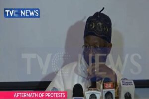Fake-News-used-to-misinform-the-public-Lai-Mohammed