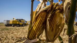 Farmers-face-threat-of-climate-change-worldwide