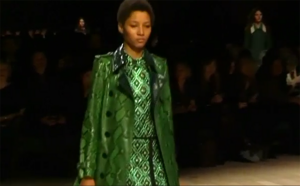 Fashion-1