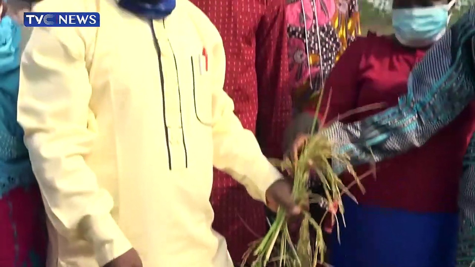 Federal-Polytechnic-Ede-complains-of-destruction-of-rice-farmlands
