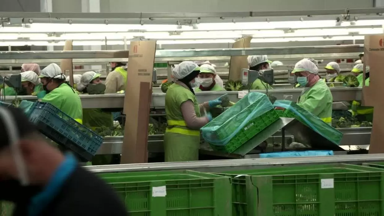 Feeding-Europe-Spains-fruit-and-vegetable-workers-at-forefront-of-Covid-19-crisis