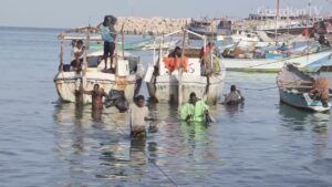 Fishermen-and-market