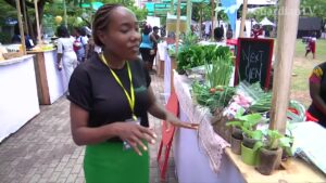 Fitness-wave-hits-Lagos-as-Nigerians-seek-healthier-lifestyles