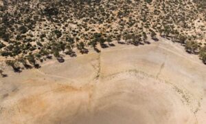 Five-years-of-thirst-S.Africas-Eastern-Cape-battles-brutal-drought