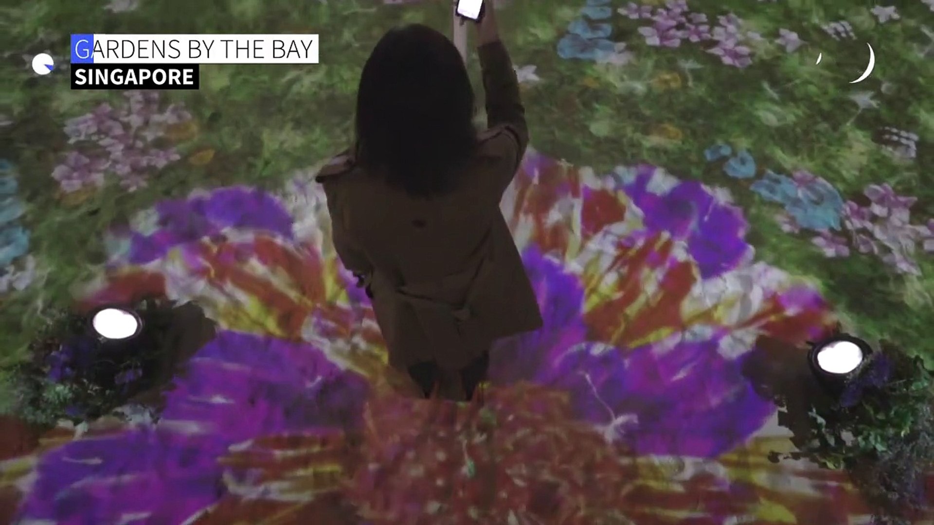 Flowers-bloom-between-Singapore-and-Tokyo-despite-travel-ban