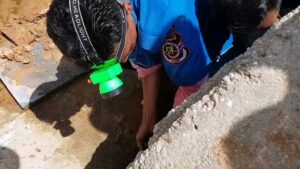 Four-metre-King-Cobra-wrestled-from-sewer-in-Thailand