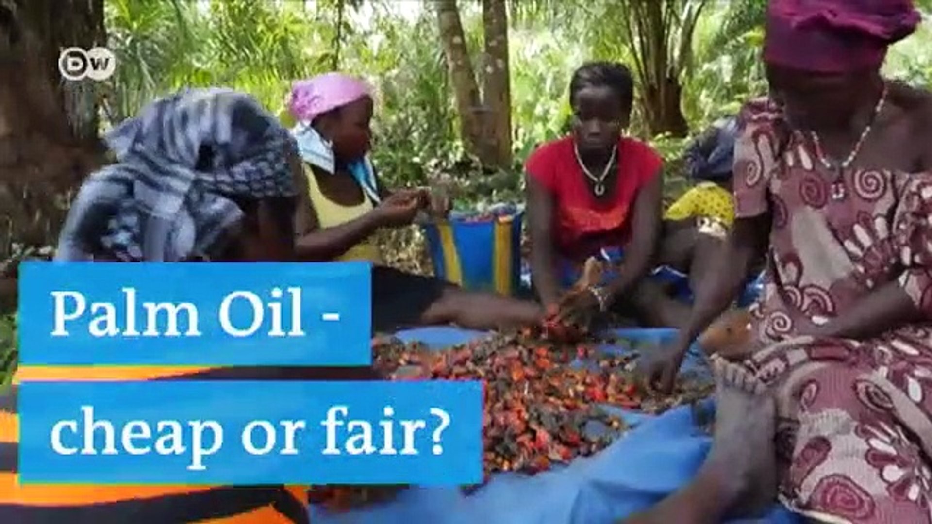 France-to-end-palm-oil-tax-breaks-after-outcry