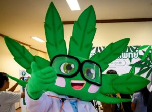 Free-handouts-of-cannabis-oil-at-Bangkok-medical-marijuana-clinic