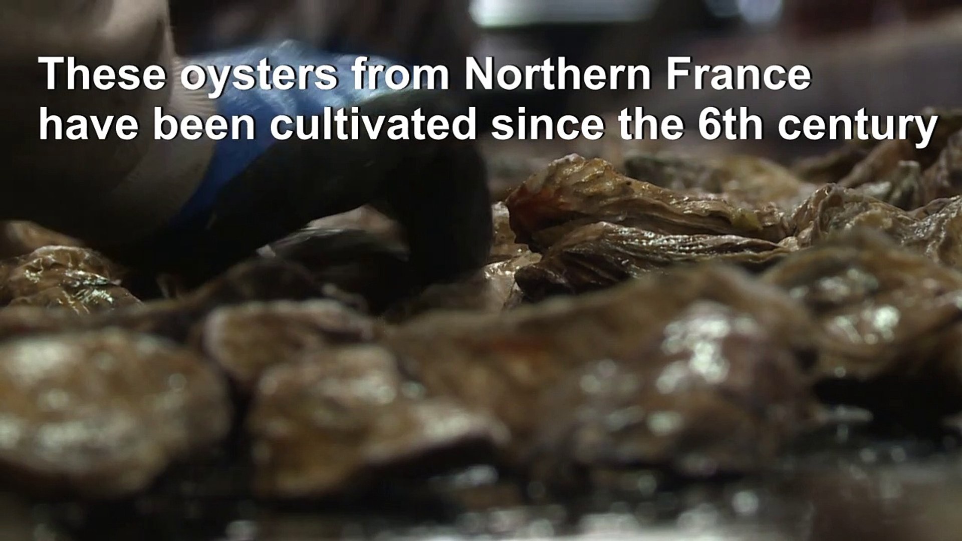 French-oyster-farm-vies-for-UNESCO-recognition