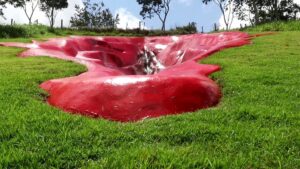 Giant-vulva-statue-fuels-gender-debate-in-Brazil