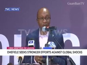 Godwin-Emefiele-seeks-stronger-efforts-against-global-shocks