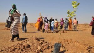 Pandemic-and-Africa-on-agenda-at-2021-One-Climate-Summit