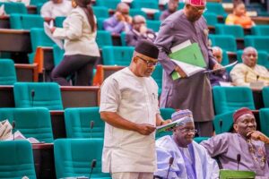House-of-Representatives-summons-Labour-minister-over-Electricity-workers-strike