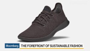 How-Allbirds-Made-Athletic-Footwear-Sustainable
