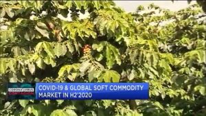 How-COVID-19-is-severely-impacting-demand-for-Africas-soft-commodities