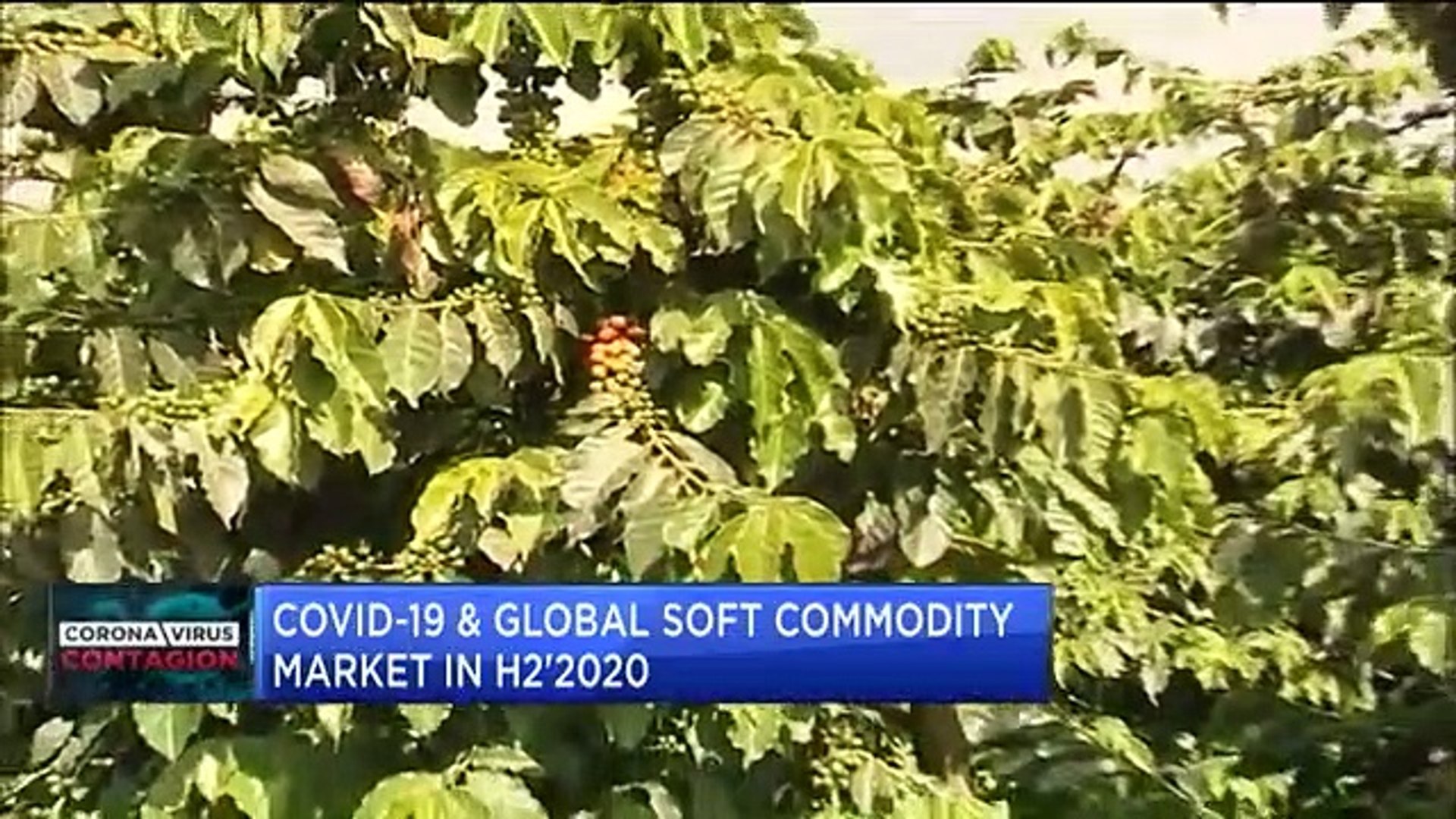 How-COVID-19-is-severely-impacting-demand-for-Africas-soft-commodities