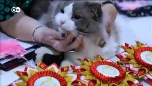 How-Vietnam-is-winning-its-war-on-coronavirus