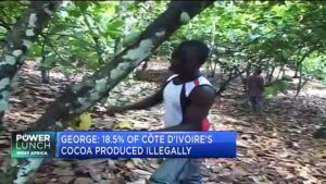 How-can-technology-improve-Cote-dIvoires-cocoa-production